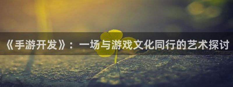 糖果派对注册送50：《手游开发》：一场与游戏文化同行的艺术探