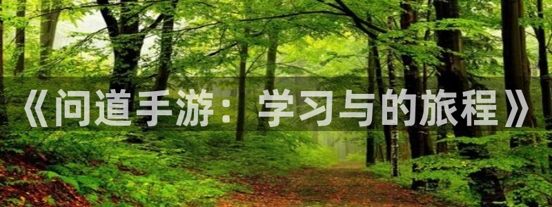 糖果派对爆分网站：《问道手游：学习与的旅程》