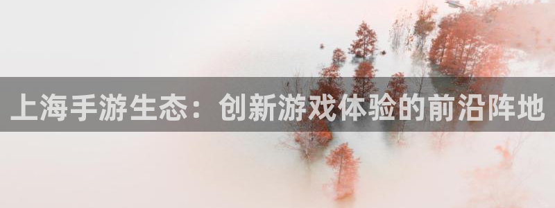 糖果派对免费网站：上海手游生态：创新游戏体验的前沿阵地