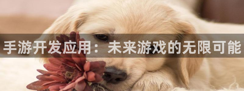 糖果派对最新官网：手游开发应用：未来游戏的无限可能