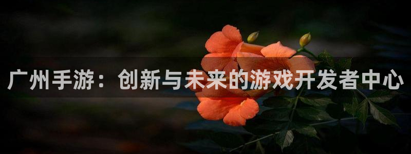 网络游戏糖果派对：广州手游：创新与未来的游戏开发者中心