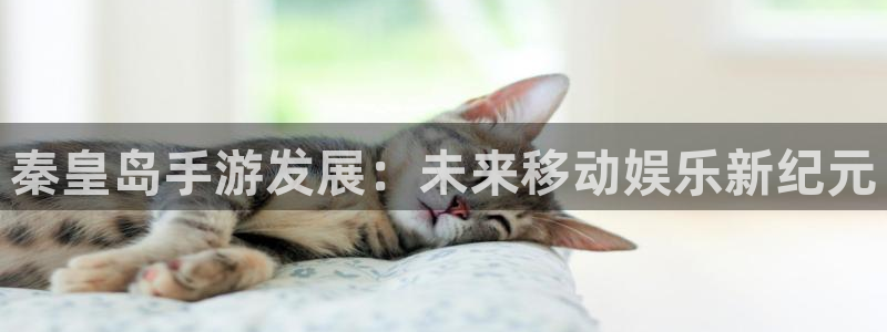 糖果派对免费网站：秦皇岛手游发展：未来移动娱乐新纪元