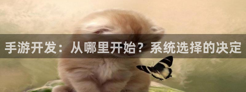 糖果派对游戏的首页：手游开发：从哪里开始？系统选择的决定