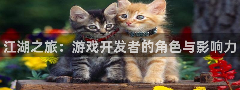 糖果派对试玩体验版：江湖之旅：游戏开发者的角色与影响力