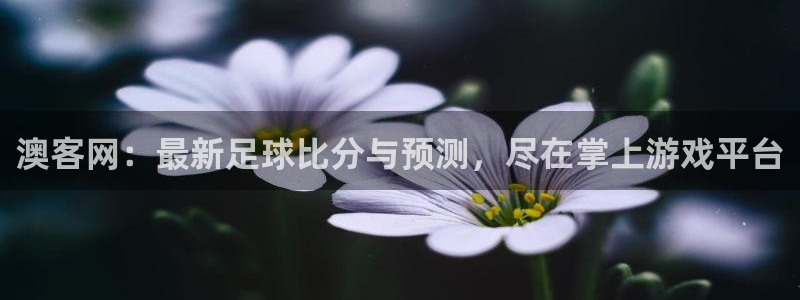 51视频在线直播nba：澳客网：最新足球比分与预测，尽在掌上游戏平台