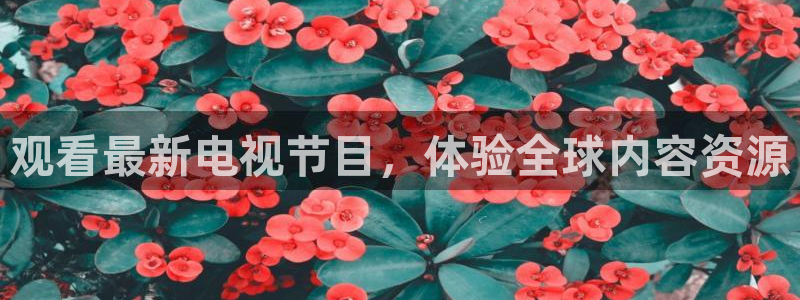 51视频在线直播nba：观看最新电视节目，体验全球内容资源