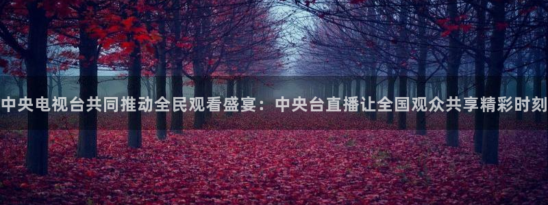 51视频在线直播nba：中央电视台共同推动全民观看盛宴：中央台直播让全国观众共享精彩时刻