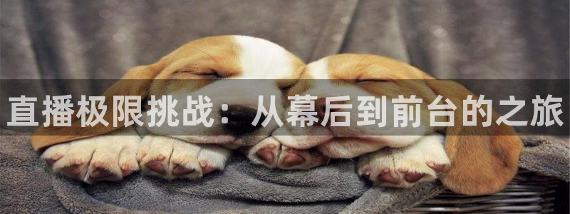 51视频在线直播nba：直播极限挑战：从幕后到前台的之旅