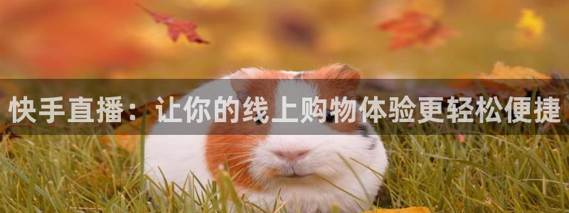 51视频在线直播nba：快手直播：让你的线上购物体验更轻松便捷